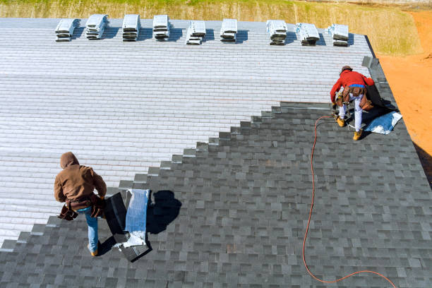 Best Roof Maintenance Services  in Chase City, VA