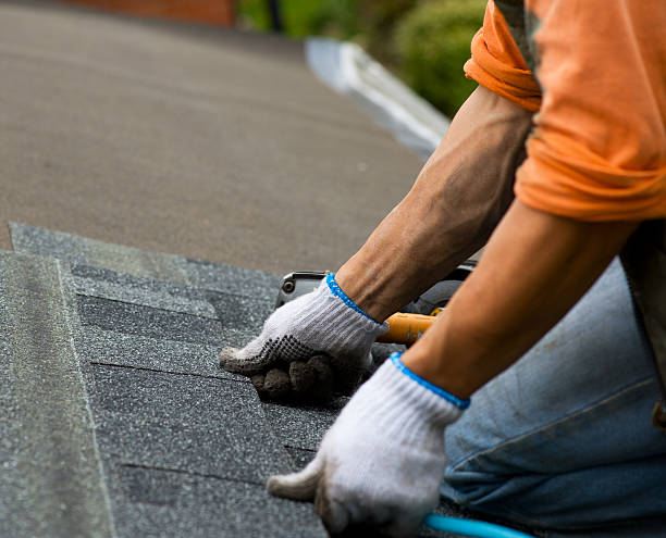 Best Sealant for Roof  in Chase City, VA