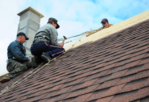Best Roof Restoration Services  in Chase City, VA