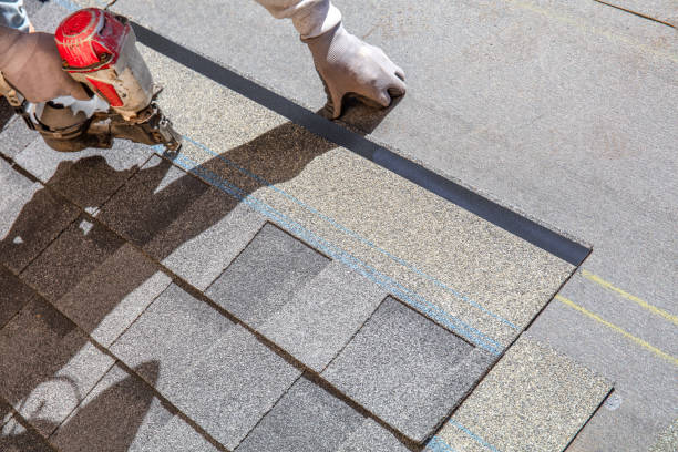 Best Roof Leak Repair  in Chase City, VA